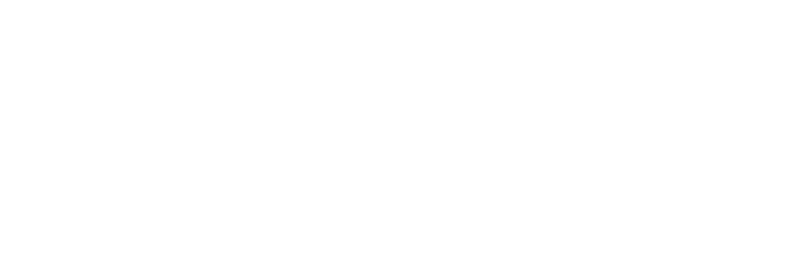 Logo 9